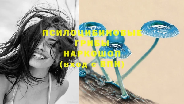 гидропоника Белоозёрский