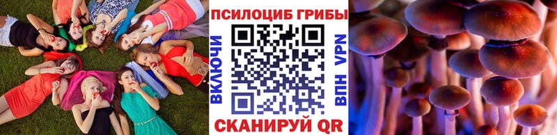 Псилоцибиновые грибы мицелий Купить Суровикино